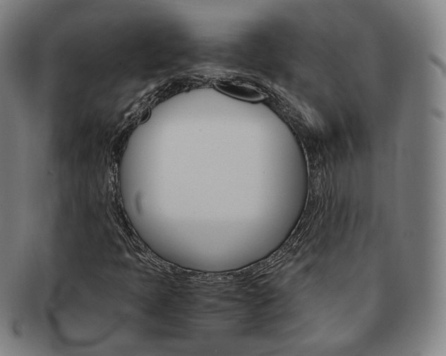 X0000091651397200708231000
