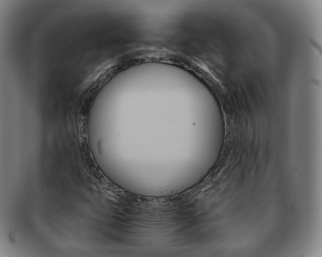 X0000091651399200708231000