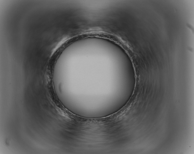 X0000091651400200708231000