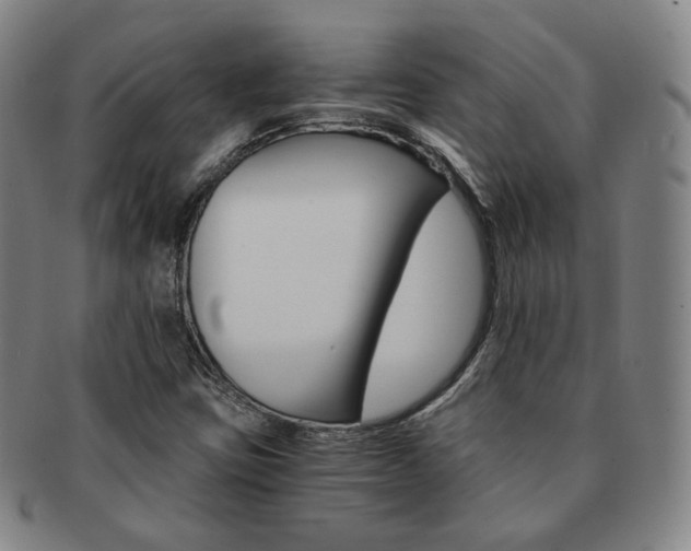 X0000091651403200708231000