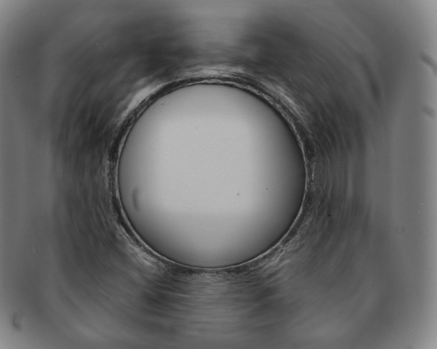 X0000091651404200708231000