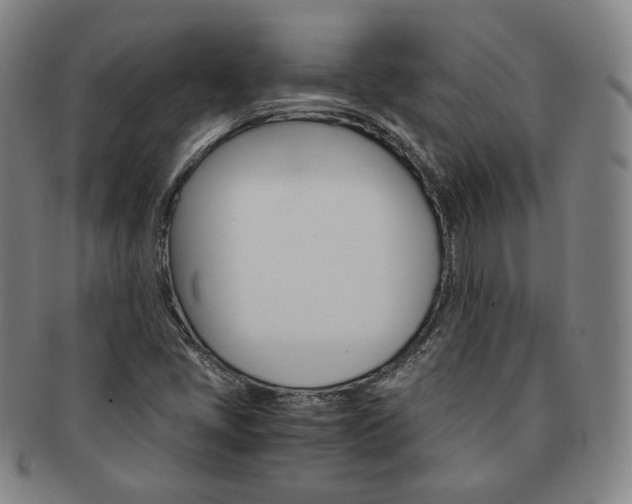 X0000091651405200708231000