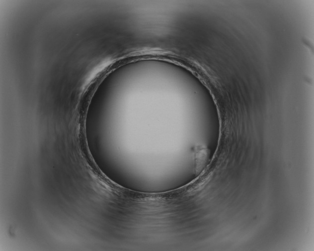 X0000091651406200708231000
