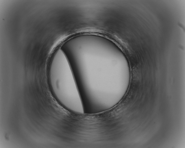 X0000091651408200708231000