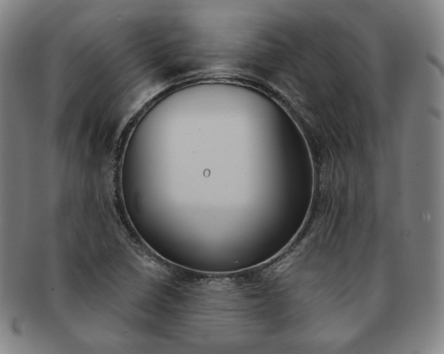X0000091651410200708231000