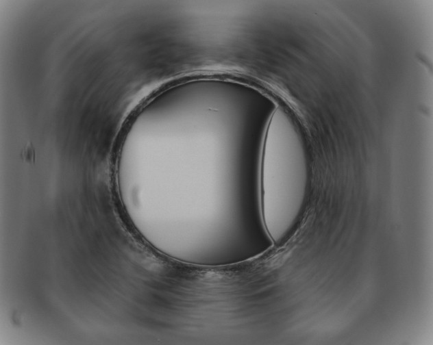 X0000091651412200708231000