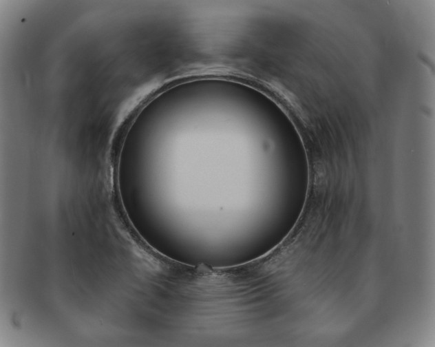 X0000091651414200708231000