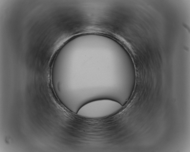 X0000091651415200708231000
