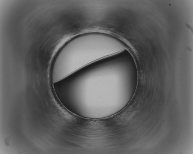 X0000091651416200708231000