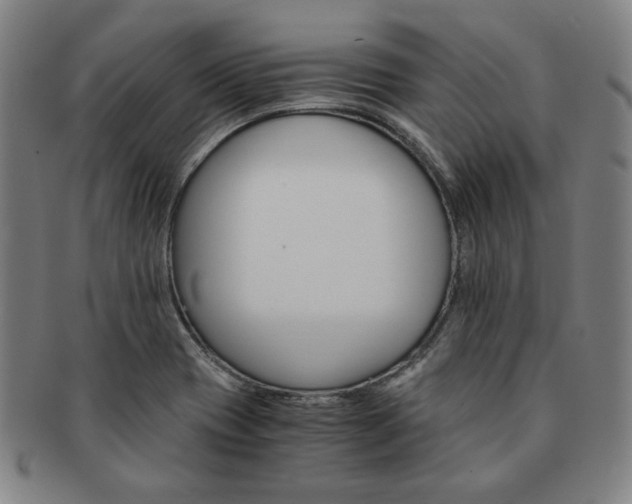 X0000091651417200708231000