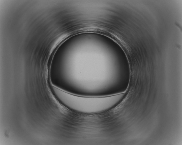 X0000091651418200708231000