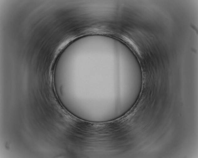 X0000091651419200708231000