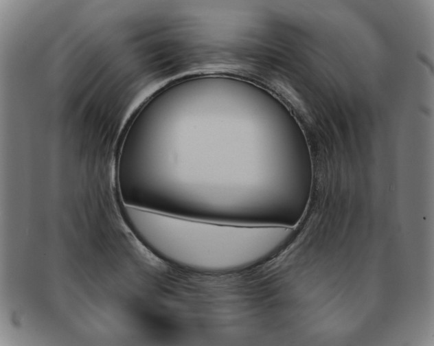 X0000091651420200708231000