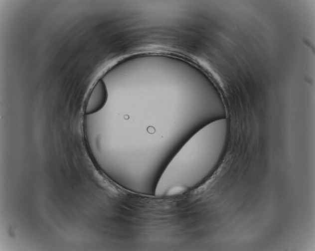 X0000091651421200708231000