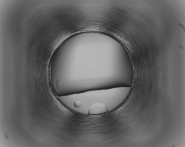 X0000091651423200708231000