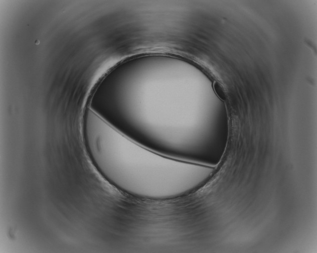 X0000091651424200708231000