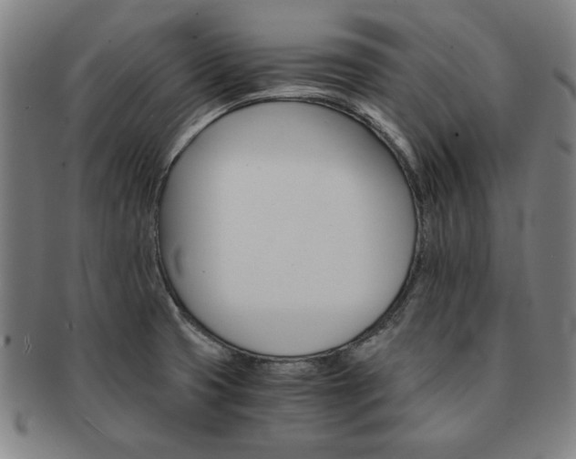 X0000091651425200708231000
