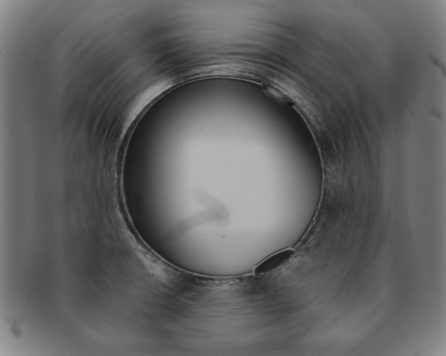X0000091651426200708231000