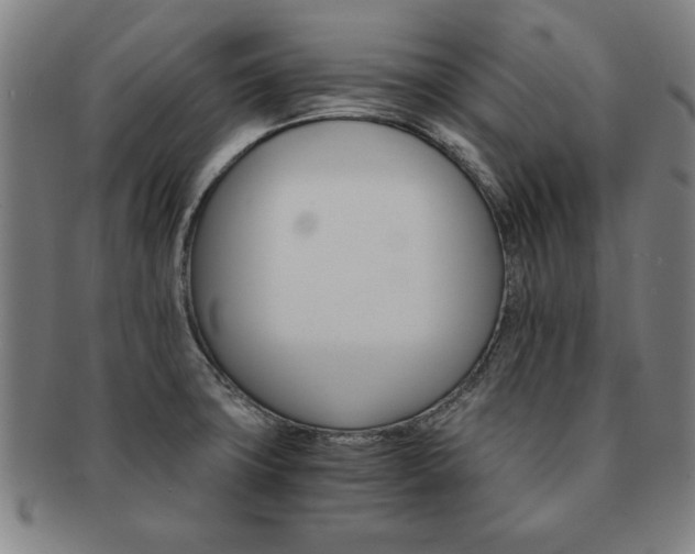 X0000091651427200708231000