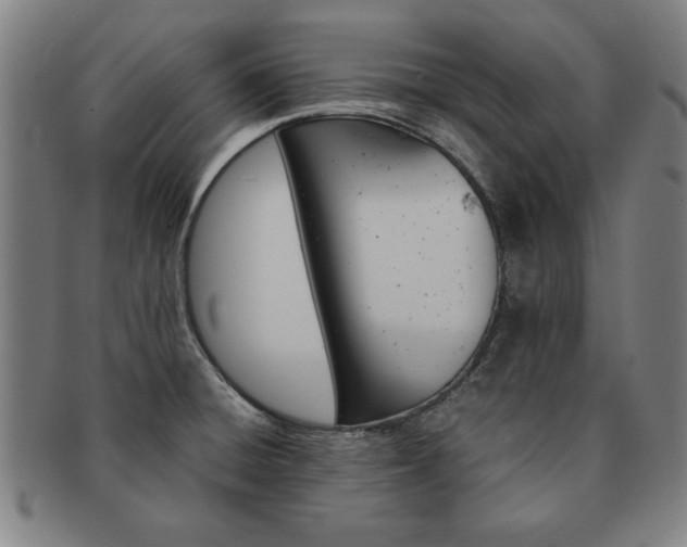 X0000091651428200708231000