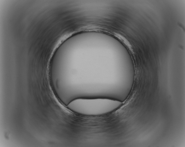 X0000091651429200708231000