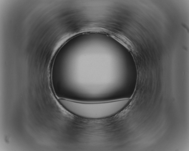 X0000091651430200708231000