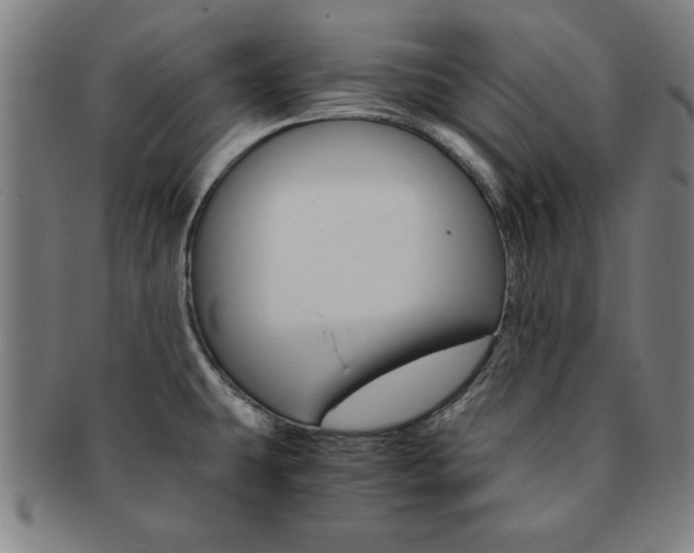 X0000091651431200708231000