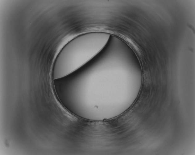 X0000091651432200708231000