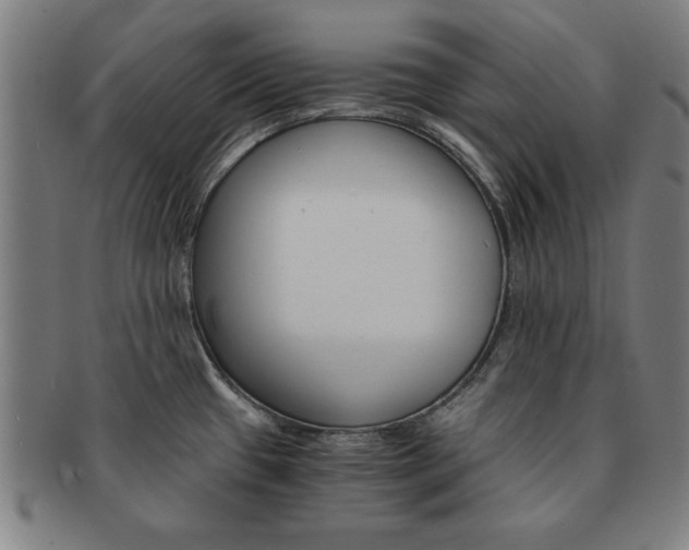 X0000091651433200708231000