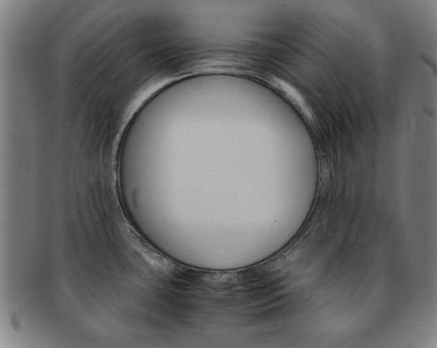 X0000091651435200708231000