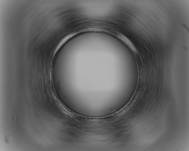 X0000091651436200708231000