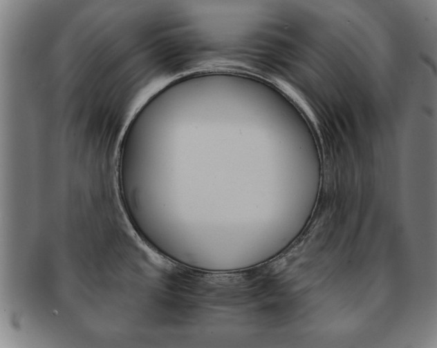 X0000091651437200708231000