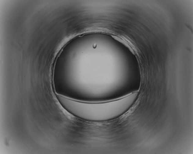 X0000091651438200708231000