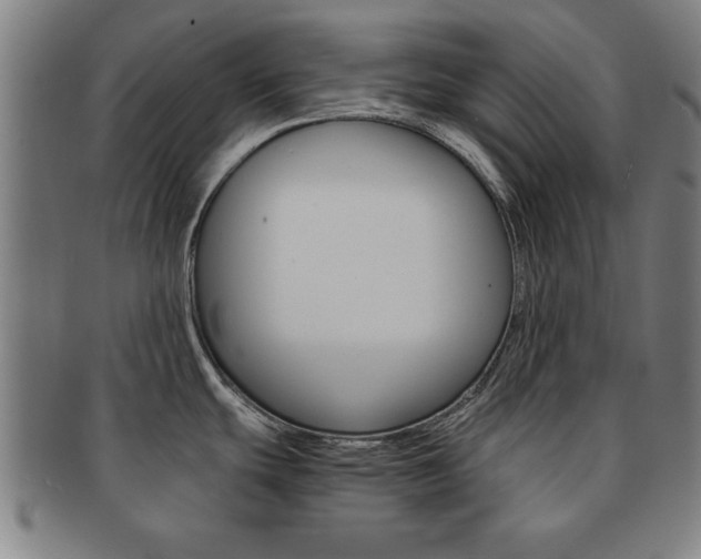 X0000091651439200708231000
