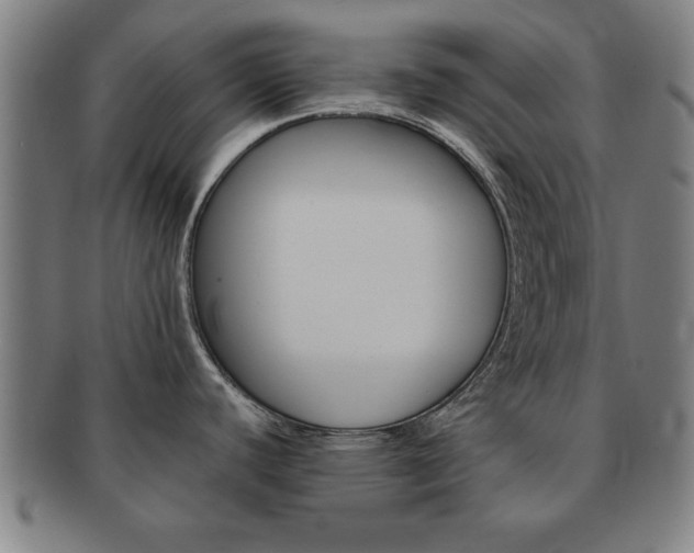 X0000091651440200708231000