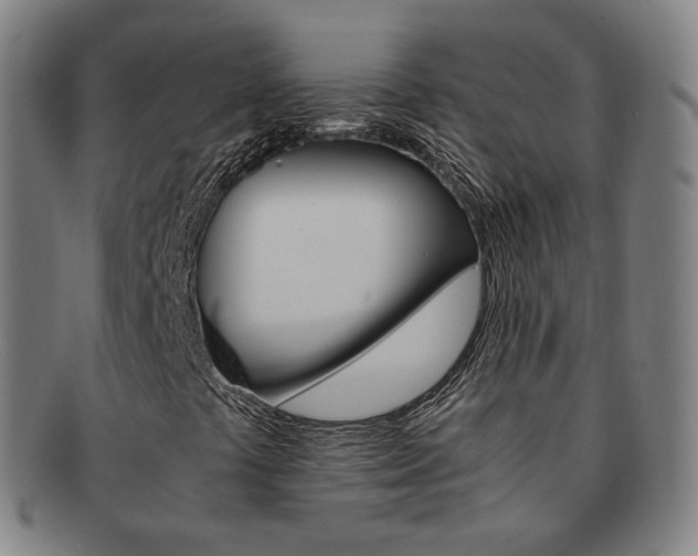 X0000091651441200708231000
