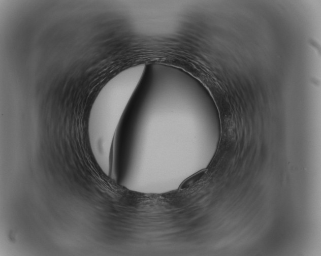 X0000091651442200708231000