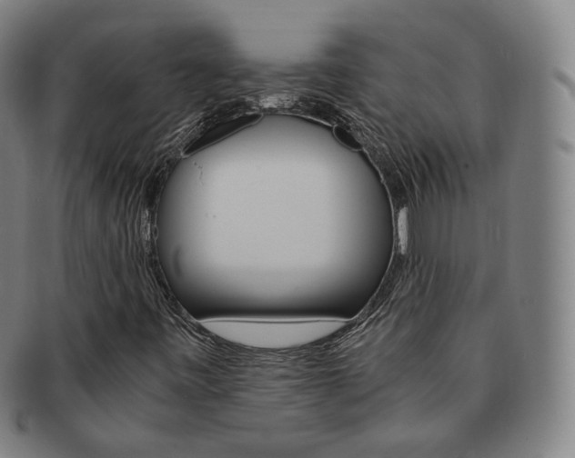 X0000091651443200708231000