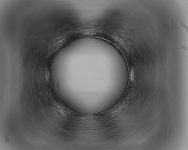 X0000091651444200708231000