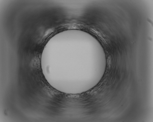 X0000091651446200708231000
