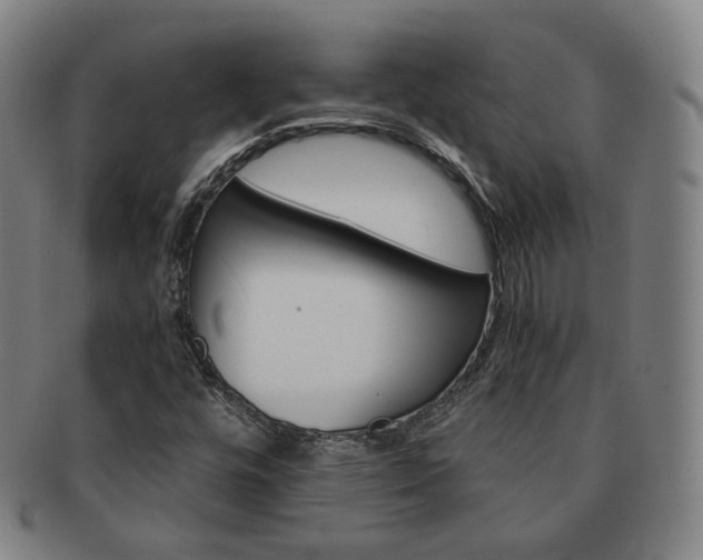 X0000091651448200708231000