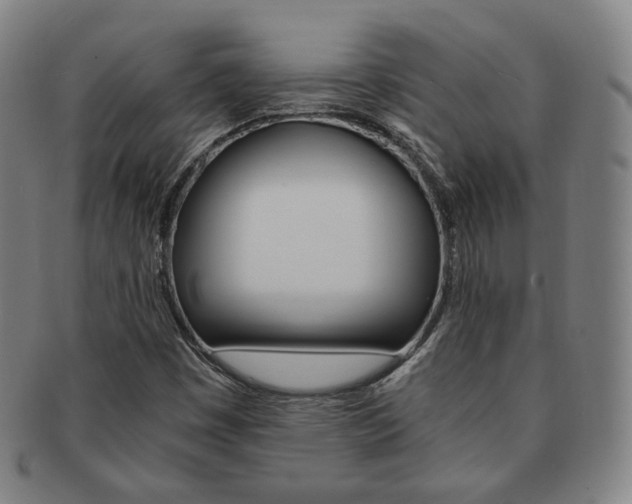 X0000091651449200708231000