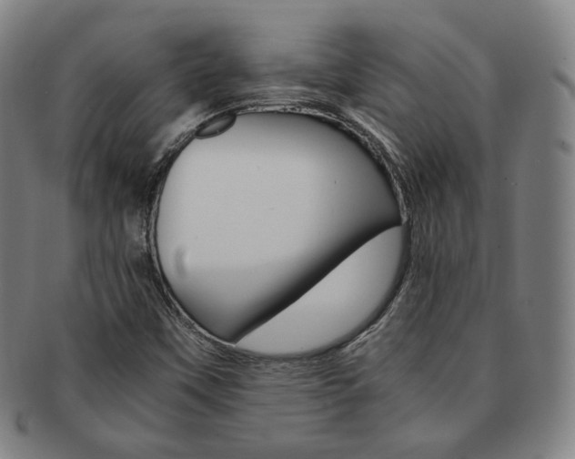 X0000091651451200708231000