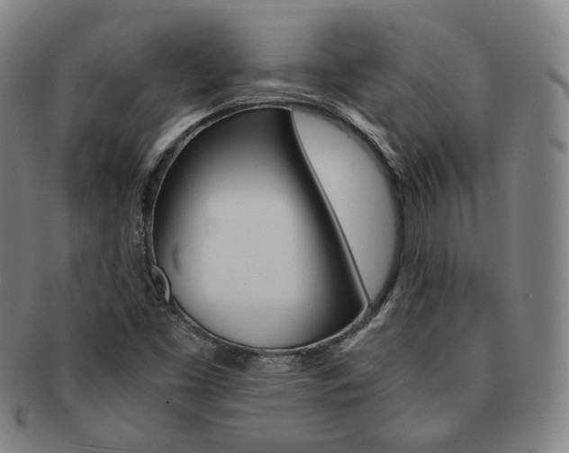 X0000091651453200708231000