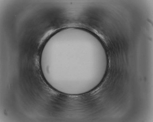 X0000091651454200708231000