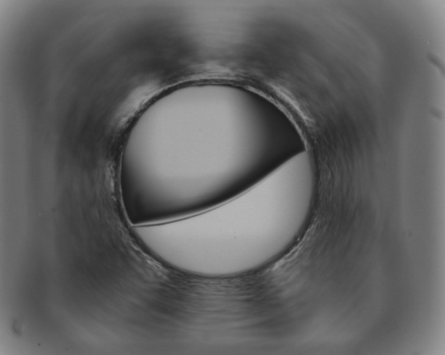X0000091651455200708231000