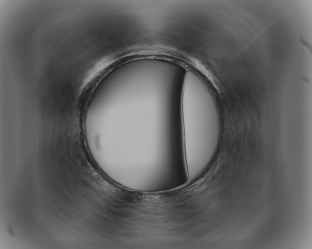 X0000091651456200708231000