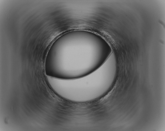 X0000091651457200708231000