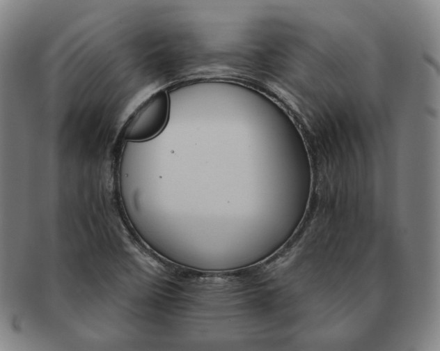 X0000091651458200708231000