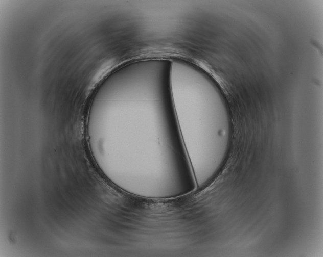 X0000091651459200708231000